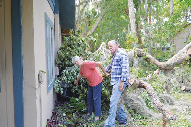 Gary and Linda Adams point to their air conditioning unit under a felled maple bough.