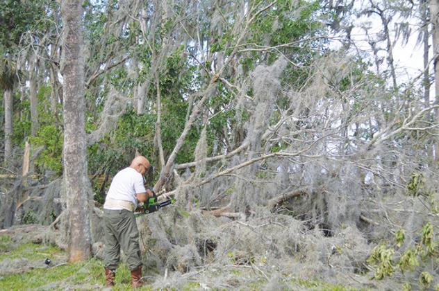 Joe Palazzo cuts a downed tree limb on his property after a tornado ripped through an area south of Crescent City on Saturday.