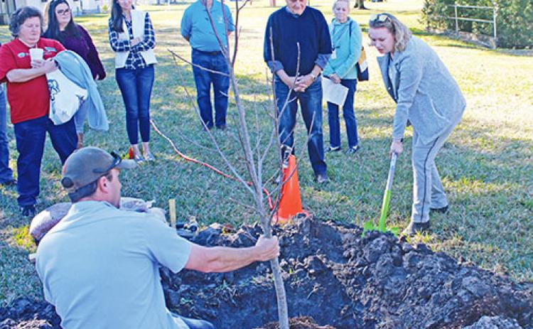 A tree is planted at St. Johns River State College during a previous Arbor Day celebration in Palatka.