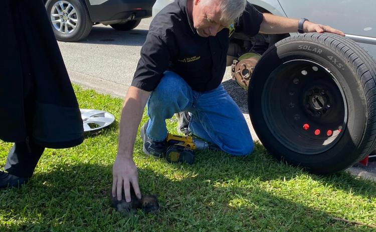 Fleet manager Joe Clark deposits Trooper the kitten on the grass after popping off the tire Trooper was hiding in. Putnam County Sheriff's Office